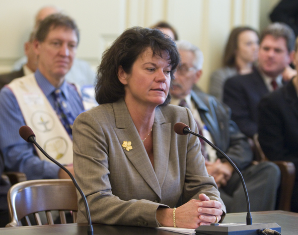 Irene KRopp, Assistant Commissioner for Site Remediation testifies in support of S3040 today