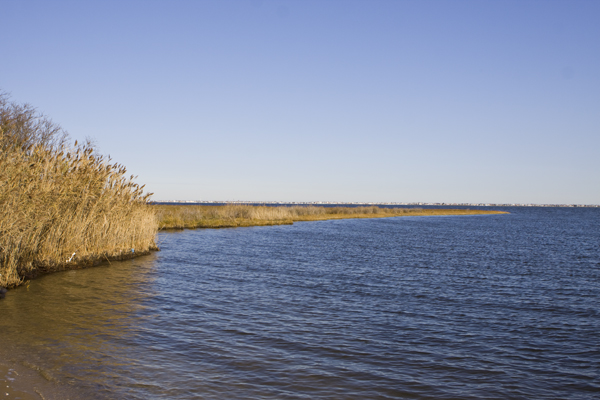 Barnegat Bay, NJ