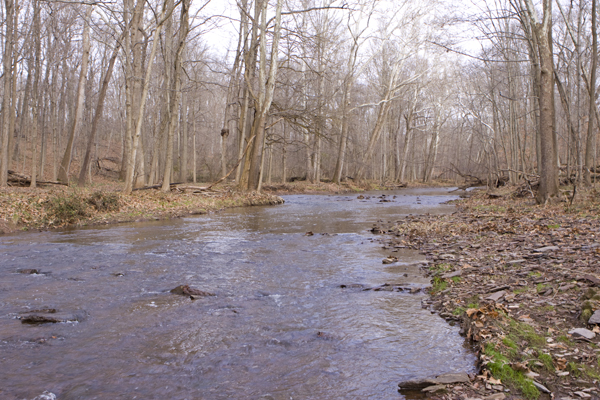 Jacobs Creek, tributary to the Delaware River, Hopewell, NJ