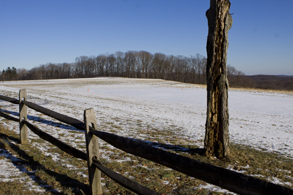 fields and forests of Chester, NJ