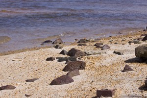 lead slag dumped on beach, leaches lead  