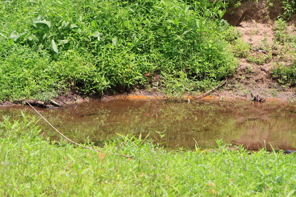 rusty stream bank from landfill leachate seeps is not "natural".