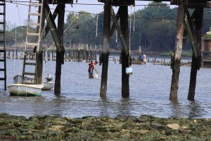 crabbing - poaching? No health risks here!