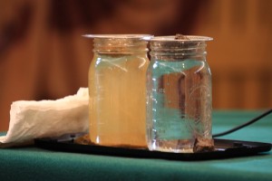 Ocean County SCS provided simple illustration of the impacts of soil comapcttion. Water on left has natural chunk of soil, while jar on left has compacted chunk of soil.