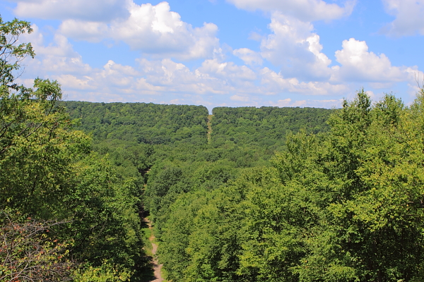 Existing Tennessee Gas Pipeline Right of Way. View looking west from ridge near Terrace Pond.