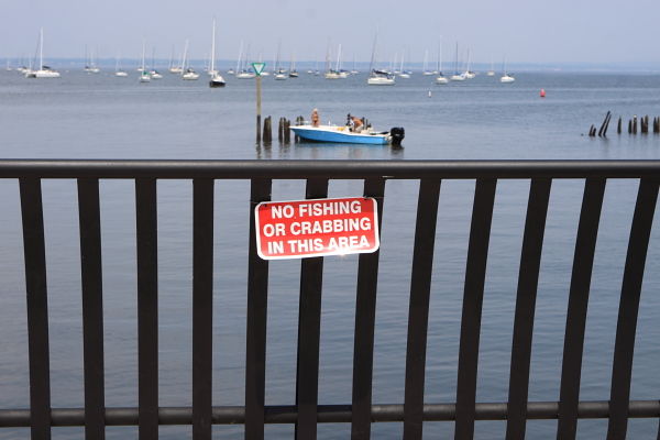 Raritan Bay, Keyport. Too polluted for fish, shellfish, people and other living things