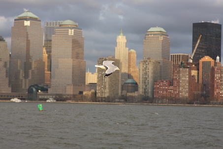 view of lower Manhattan from Liberty State Park