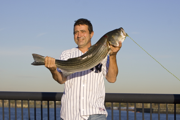 Raritan River striped bass