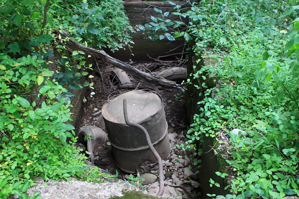 Abandoned toxic waste drum - NJ's State Symbol?