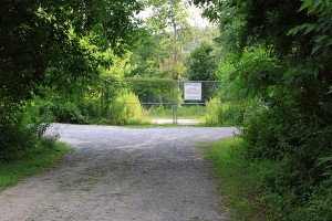 Crwon Vantage Superfund site, just feet of the D&R Cana path (view from standing on the path)