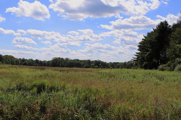 preserved land, by conservation easement (West Track)