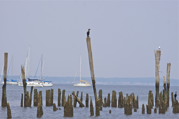 Raritan Bay