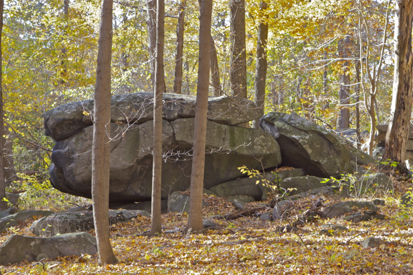 boulder filed is just off the blue trail 