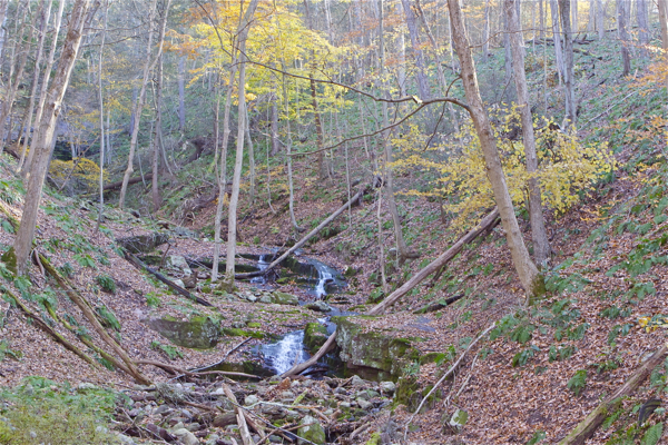 scene from Delaware Watergap National Park