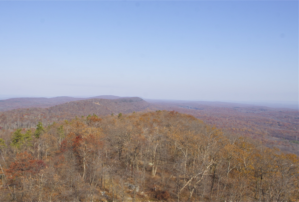 view looking north, from Catfish Firetower - AT