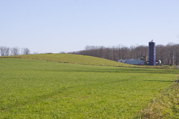 real farm, Rocktown (Ringoes) NJ