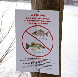 fish consumption advisory - Loss of access to the fishery is a natural resource injury that Dupont must compensate the public for.