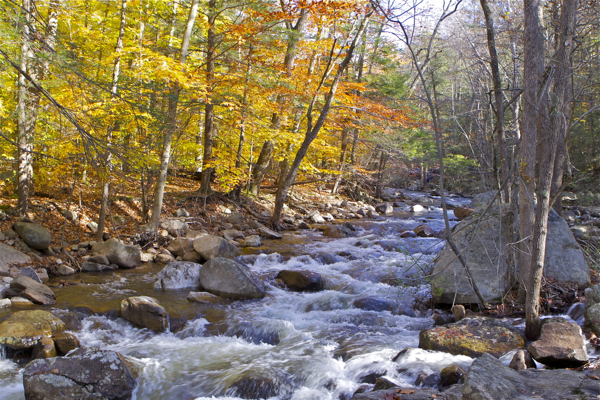 A healthy stream flows - but not in Jersey (Harriman Park, NY)