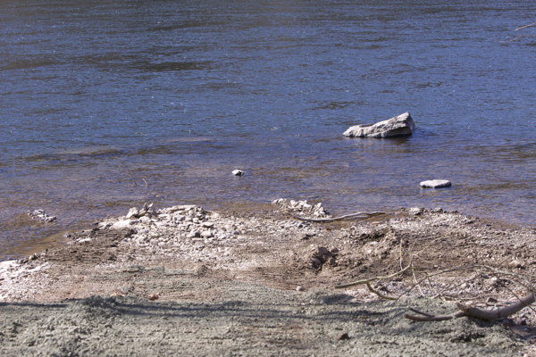 bulldozing soil directly into river