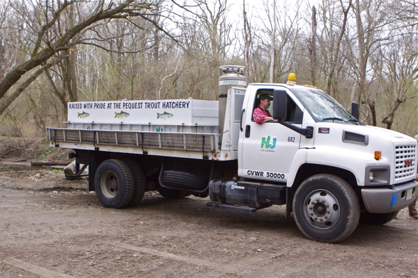 Pequest trout stocking - D&R Canal at Bulls Island