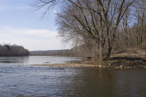 Delaware River, looking north, at confluence of Wickecheoke Creek