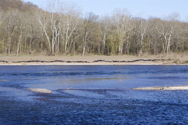 View from Pa. of Bulls Island riverfront bulldozing and fill. Note contrast between fill area and natural vegetation. 