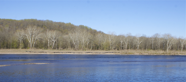 note difference between shoreline vegetation