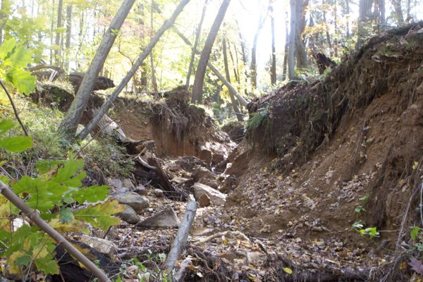 more severe stream bank erosion - this is a physical "impairment"