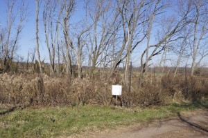 View of sequestration project in Hopewell by Conservation Resources, Inc.  - looks like a bunch of weeds surrounded by plastic fence. "By their fruits, ye shall know them."