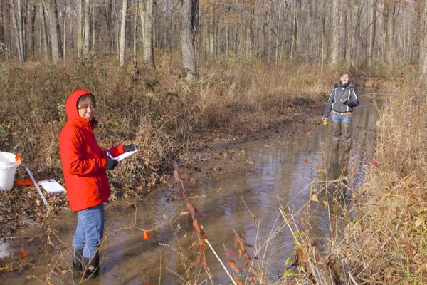 Stream survey, conducted by the Great Swamp Watershed Assc. - Harding Township, NJ