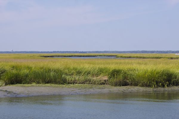 coastal wetlands