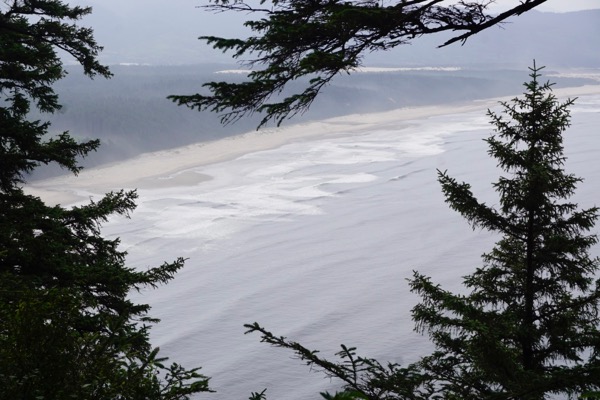 Oregon coast - Cape Lookout - awesome hike through old growth rainforest