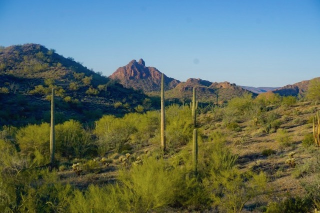 Cabeza Prieta National Wildlife Refuge, outside Ajo, Arizona